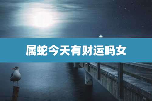 属蛇今天有财运吗女