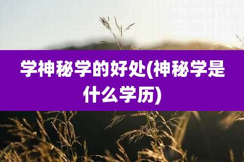 学神秘学的好处(神秘学是什么学历)