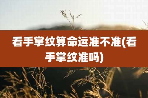 看手掌纹算命运准不准(看手掌纹准吗)