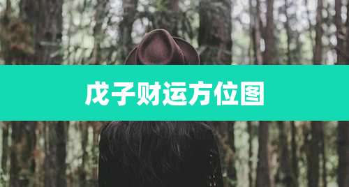 戊子财运方位图
