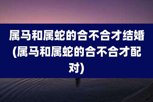 属马和属蛇的合不合才结婚(属马和属蛇的合不合才配对)