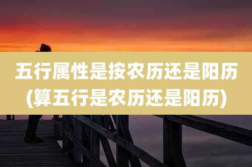 五行属性是按农历还是阳历(算五行是农历还是阳历)