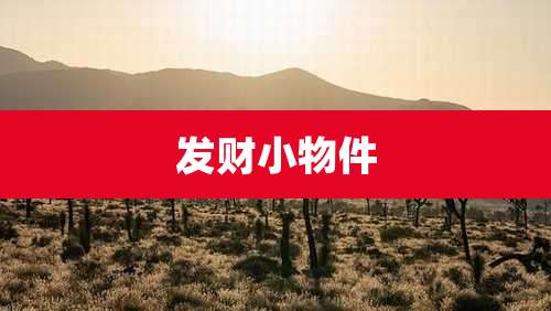 发财小物件