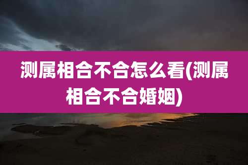 测属相合不合怎么看(测属相合不合婚姻)