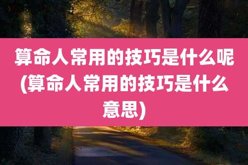 算命人常用的技巧是什么呢(算命人常用的技巧是什么意思)