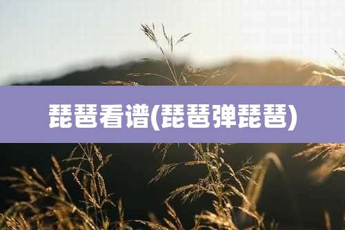 琵琶看谱(琵琶弹琵琶)