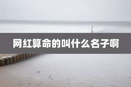 网红算命的叫什么名子啊