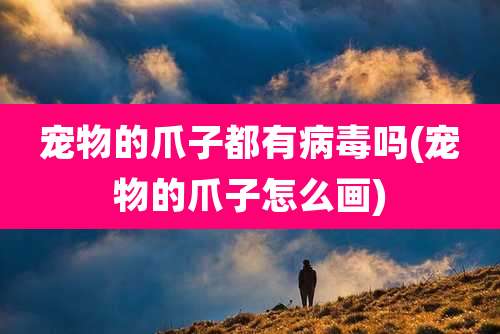 宠物的爪子都有病毒吗(宠物的爪子怎么画)