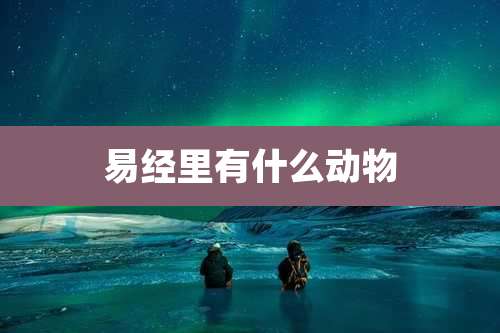 易经里有什么动物