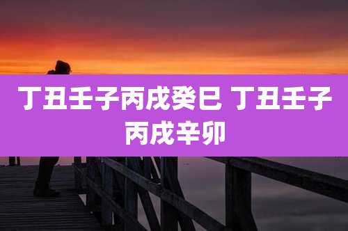 丁丑壬子丙戌癸巳 丁丑壬子丙戌辛卯