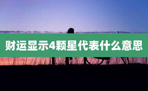财运显示4颗星代表什么意思