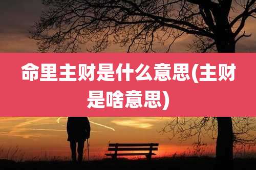 命里主财是什么意思(主财是啥意思)