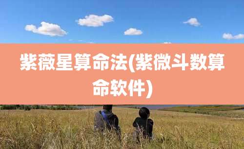 紫薇星算命法(紫微斗数算命软件)