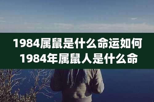 1984属鼠是什么命运如何 1984年属鼠人是什么命