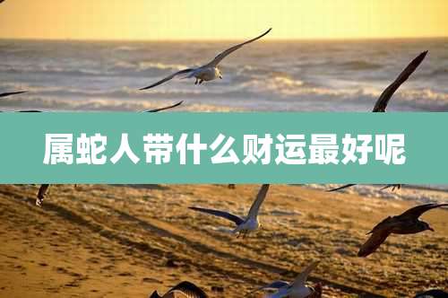 属蛇人带什么财运最好呢