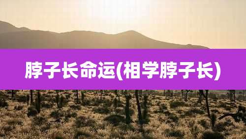 脖子长命运(相学脖子长)