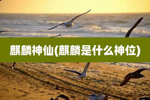 麒麟神仙(麒麟是什么神位)