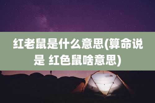 红老鼠是什么意思(算命说是 红色鼠啥意思)