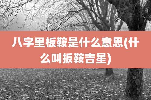 八字里板鞍是什么意思(什么叫扳鞍吉星)