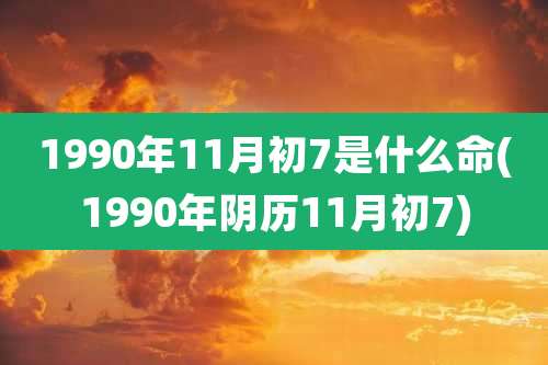 1990年11月初7是什么命(1990年阴历11月初7)