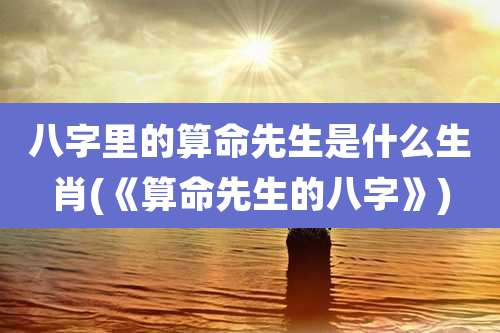 八字里的算命先生是什么生肖(《算命先生的八字》)