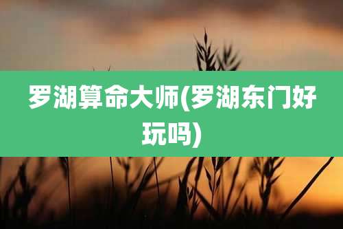 罗湖算命大师(罗湖东门好玩吗)