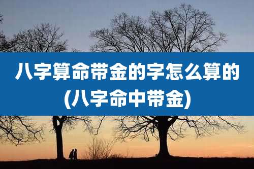 八字算命带金的字怎么算的(八字命中带金)
