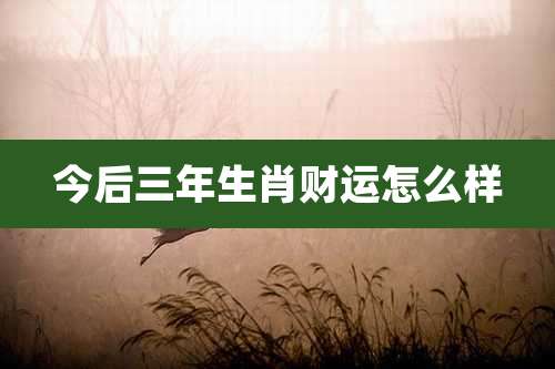 今后三年生肖财运怎么样