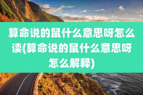 算命说的鼠什么意思呀怎么读(算命说的鼠什么意思呀怎么解释)