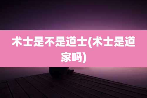术士是不是道士(术士是道家吗)