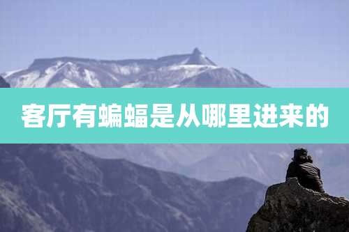 客厅有蝙蝠是从哪里进来的