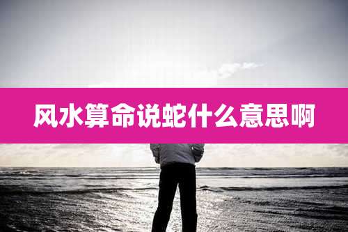 风水算命说蛇什么意思啊