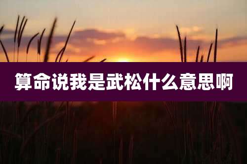 算命说我是武松什么意思啊