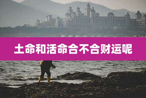 土命和活命合不合财运呢