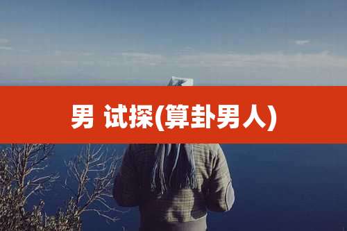 男 试探(算卦男人)