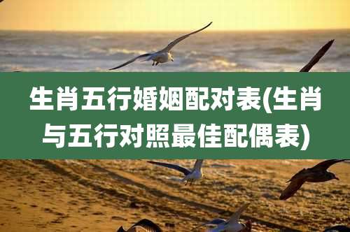 生肖五行婚姻配对表(生肖与五行对照最佳配偶表)