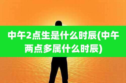 中午2点生是什么时辰(中午两点多属什么时辰)