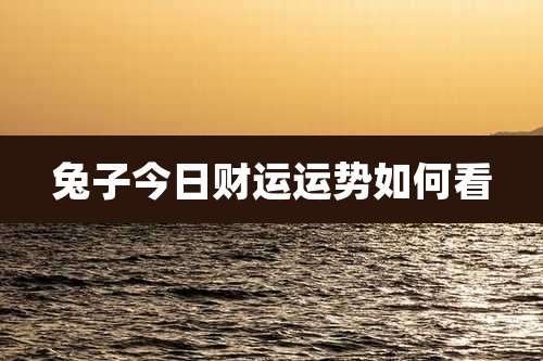 兔子今日财运运势如何看