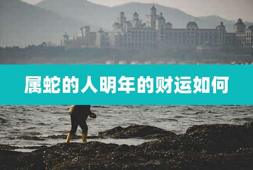 属蛇的人明年的财运如何