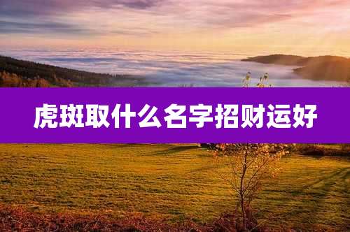 虎斑取什么名字招财运好