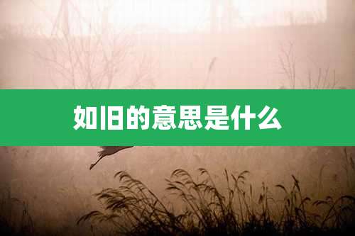 如旧的意思是什么