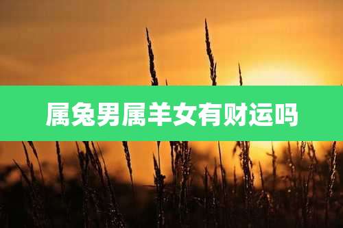 属兔男属羊女有财运吗