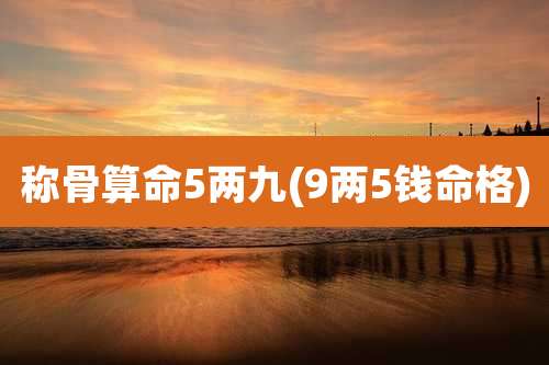 称骨算命5两九(9两5钱命格)