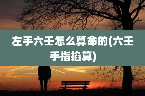 左手六壬怎么算命的(六壬手指掐算)