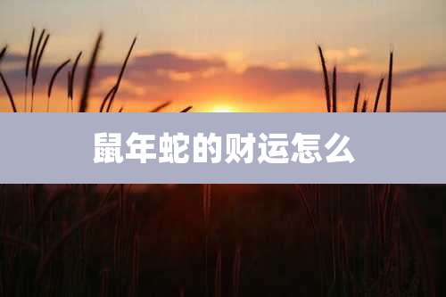 鼠年蛇的财运怎么