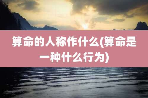 算命的人称作什么(算命是一种什么行为)