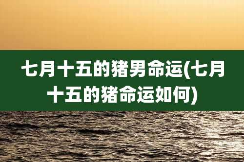 七月十五的猪男命运(七月十五的猪命运如何)
