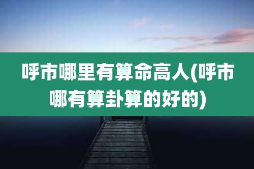 呼市哪里有算命高人(呼市哪有算卦算的好的)