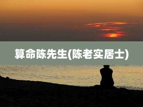 算命陈先生(陈老实居士)