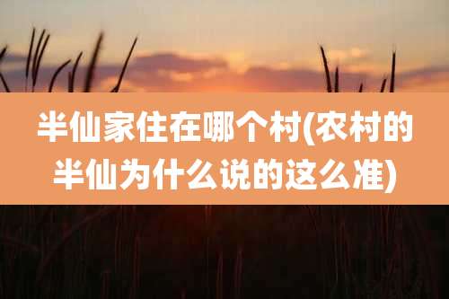 半仙家住在哪个村(农村的半仙为什么说的这么准)